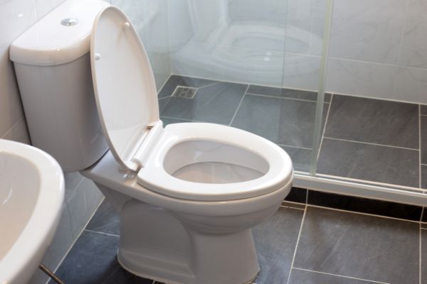 Cost of Toilet Replacement in Missouri City