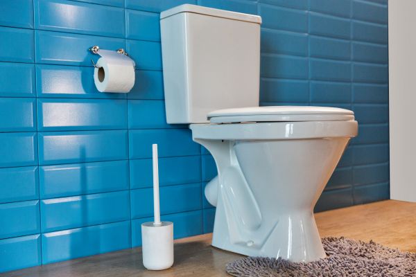 Cost of Toilet Tank Repair in Missouri City