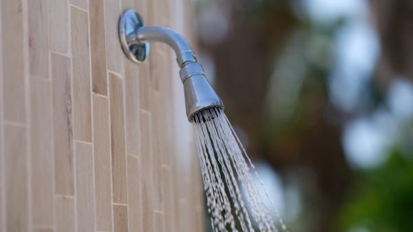 Cost of Showerhead Repair in Missouri City