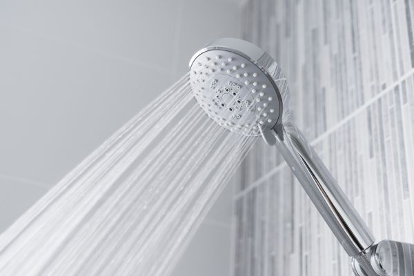 Cost of Showerhead Replacement in Missouri City
