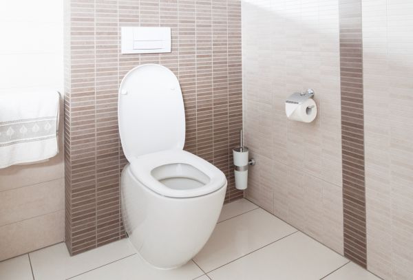 Cost of Toilet Plumbing Installation in Missouri City